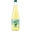 Badoit Boisson gazeuse au thé à la menthe 1L