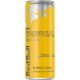 Red Bull Yellow Edition 25cl (pack de 12)