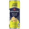 San Pellegrino Pamplemousse 33cl (lot de 4 packs de 6 soit 24 canettes)