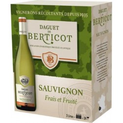 DAGUET DE BERTICOT Vin blanc Sauvignon 3L