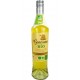 NC GENTIANE BIO 16%V JANOT 70cl
