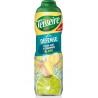 TEISSEIRE Sirop Défense Citron Vert Gingembre 60cL