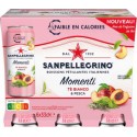 San Pellegrino thé blanc pêche 33cl (pack de 6)